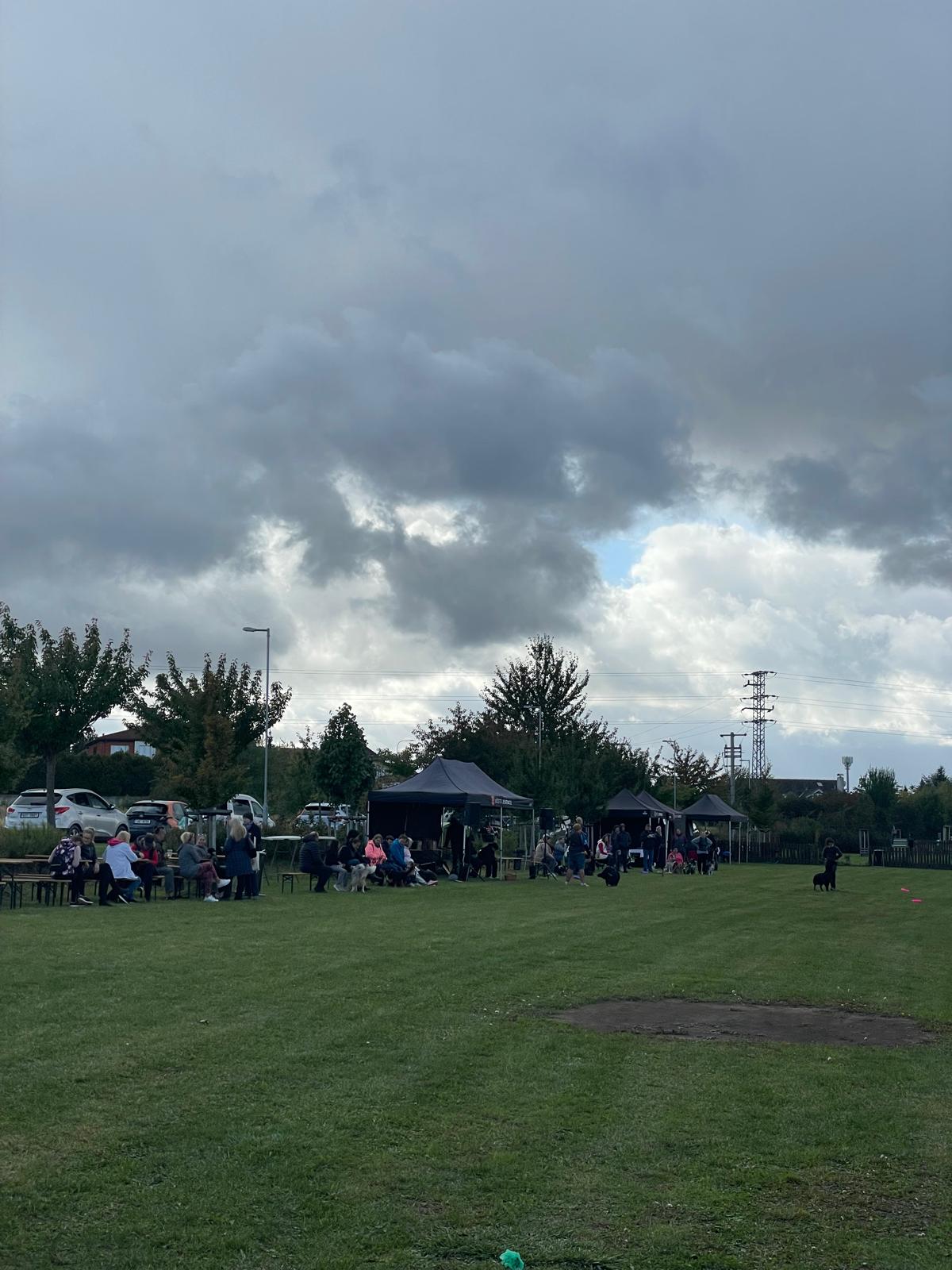 WhatsApp Image 2025-10-15 at 10.10.45 (1)