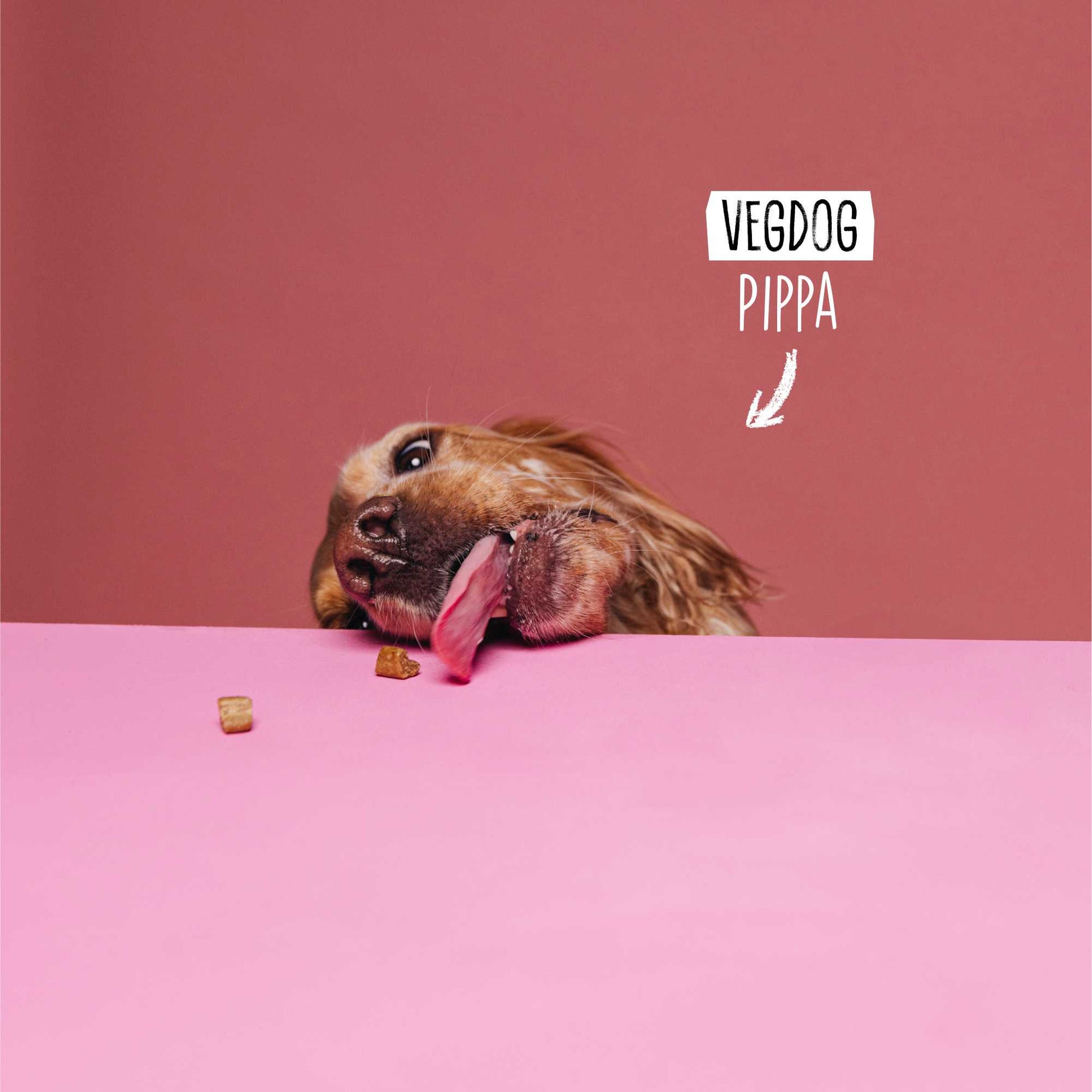 VEGDOG Mobilities minis - Obrázek 5