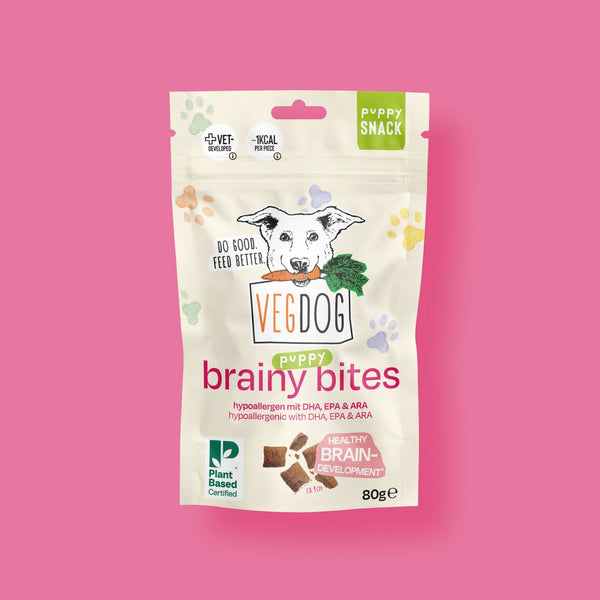 BRAINY BITES
