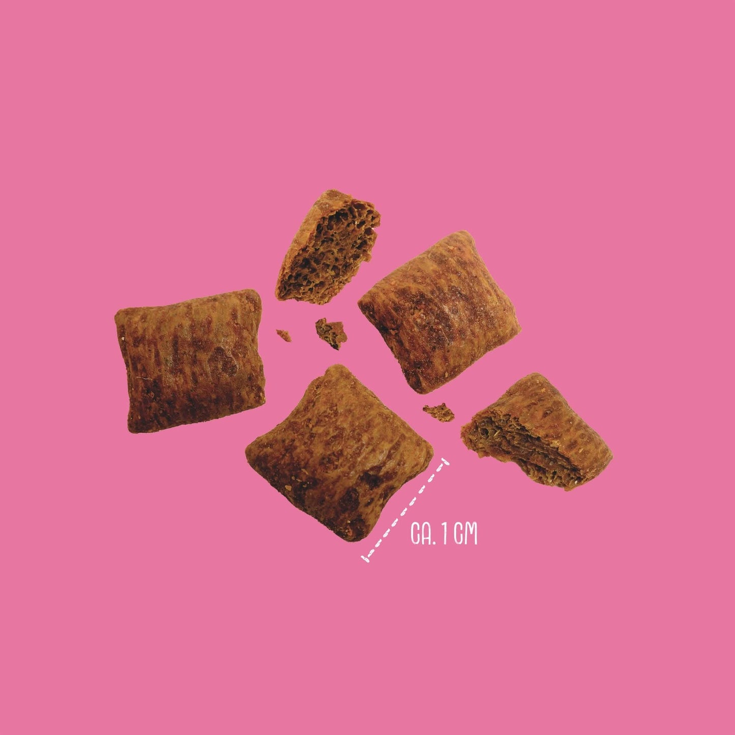 BRAINY BITES - Obrázek 3