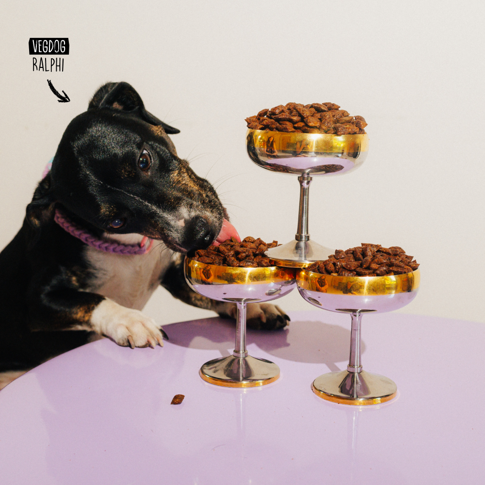 VEGDOG Pure Bites Mini - Obrázek 8